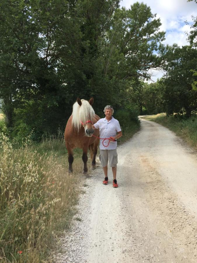 B&B Et Gite D'Ayran Saint-Quentin-la-Poterie Exterior foto