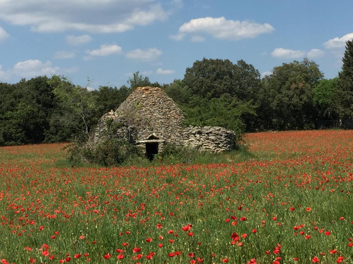 B&B Et Gite D'Ayran Saint-Quentin-la-Poterie Exterior foto