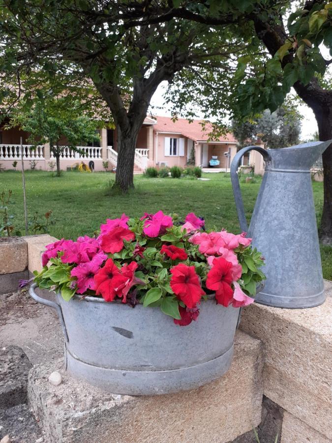 B&B Et Gite D'Ayran Saint-Quentin-la-Poterie Exterior foto